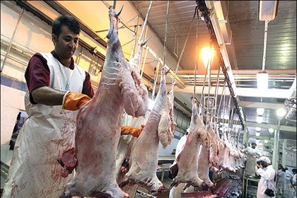 افزایش قیمت گوشت